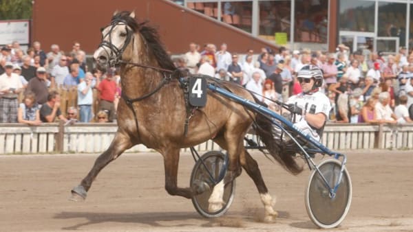 Foto: MICKE GUSTAFSSON/ALN