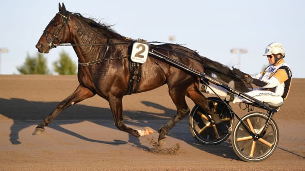 Foto: MALIN ALBINSSON / TR BILD