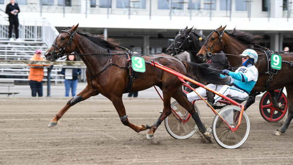 Foto: MALIN ALBINSSON / TR BILD