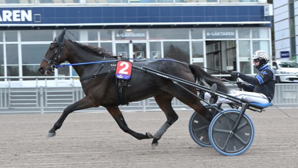 Foto: LARS JAKOBSSON / TR BILD