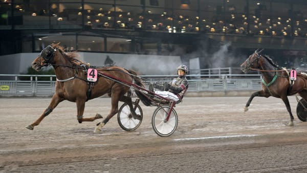 Foto: LARS JAKOBSSON / TR BILD