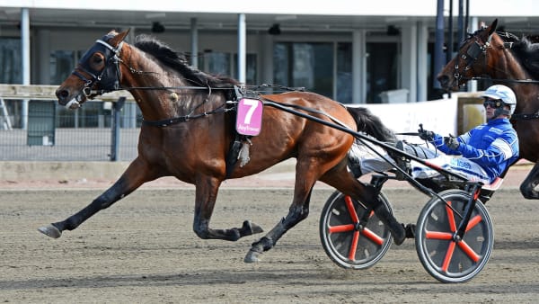 Foto: MALIN ALBINSSON / TR BILD