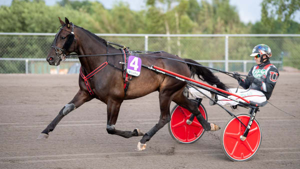 Foto: MIKAEL ROSENQUIST / TR BILD