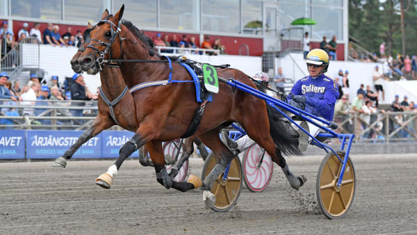 Foto: MALIN ALBINSSON / TR BILD