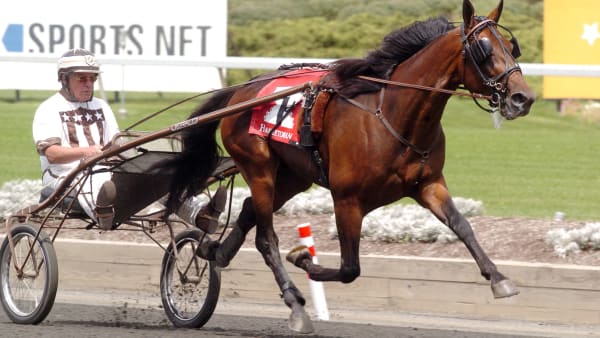 Foto: Thomas Blomqvist/Kanal 75