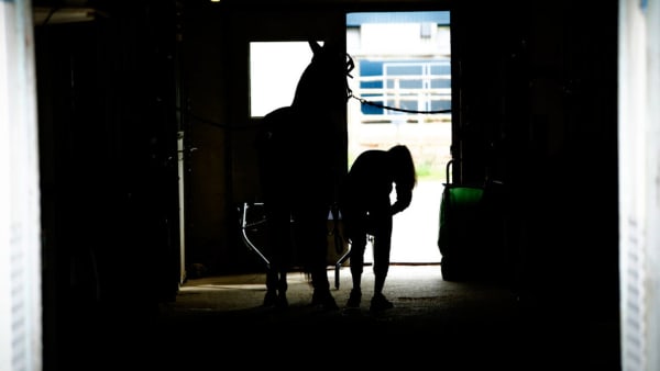 Foto: Thomas Blomqvist