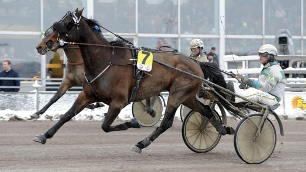 Foto: MALIN ALBINSSON / TR BILD