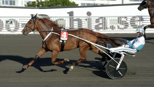 Foto: LARS JAKOBSSON / TR BILD