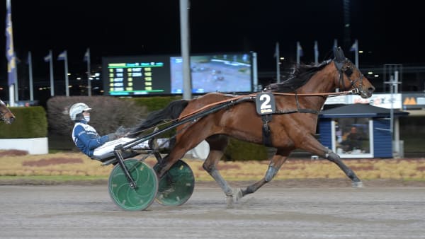 Foto: LARS JAKOBSSON / TR BILD