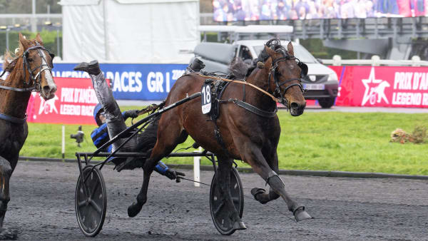 Foto: JEAN-LUC LAMAÈRE/TR BILD