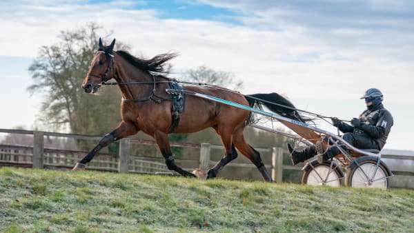 Foto: THOMAS BLOMQVIST / TR BILD