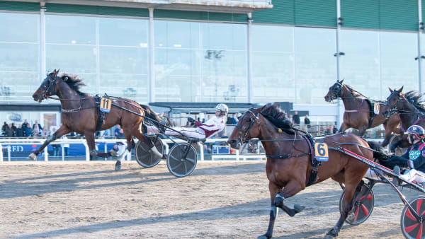 Foto: MIKAEL ROSENQUIST / TR BILD