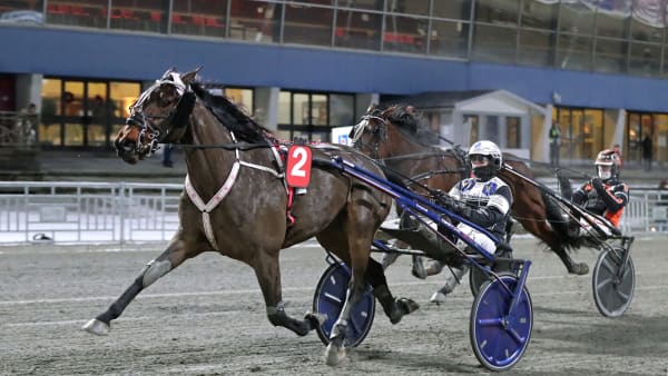 Foto: MARIA HOLMÉN / TR BILD