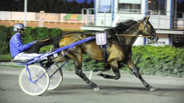 Foto: THOMAS BLOMQVIST/KANAL75