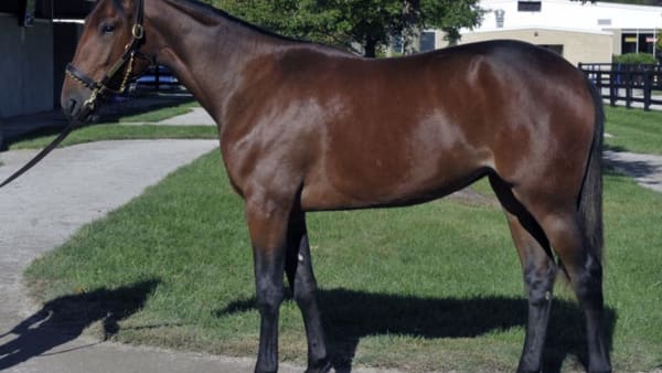 Foto: Stefan Melander/stalltz.se