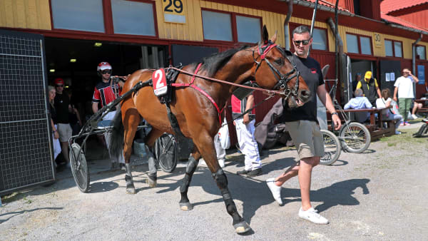 Foto: MARIA HOLMÉN / TR BILD