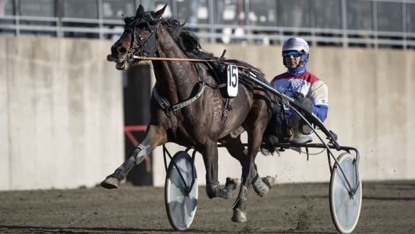 Foto: ROGER SVALSRÖD