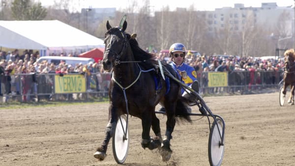 Foto: Petri Johansson/TR Bild