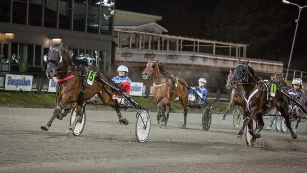 Foto: DAVID SCHREINER / TR BILD