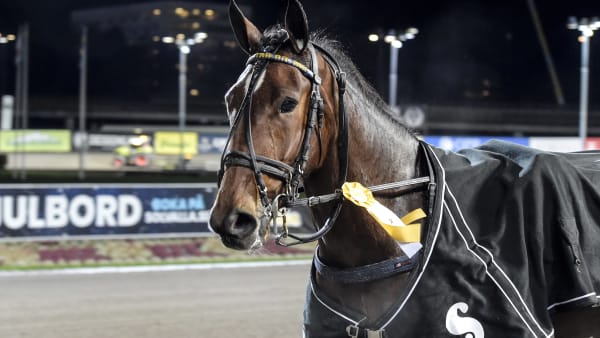 Foto: LARS JAKOBSSON / TR BILD