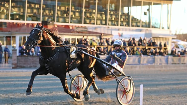 Foto: MARIA HOLMÉN / TR BILD