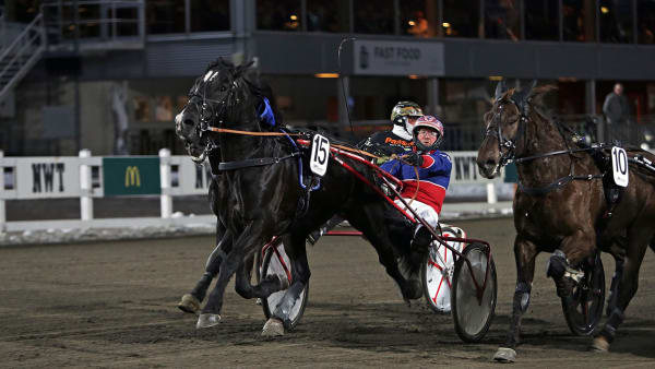 Foto: MATILDA ÖHRMAN / TR BILD