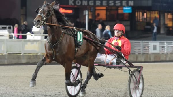 Foto: LEIF NORBERG/ALN