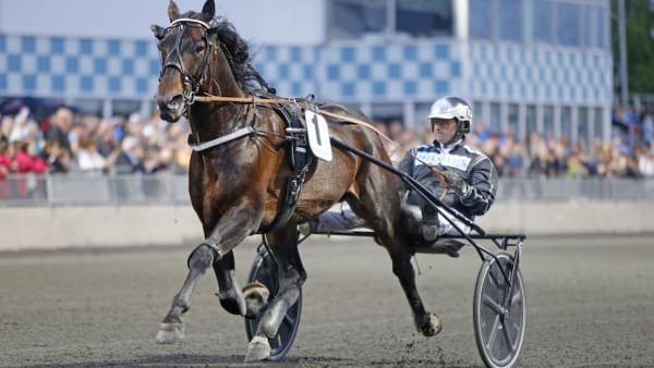 Foto: Matilda Öhrman