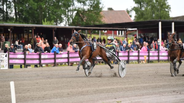 Foto: Malin Albinsson/TR BILD