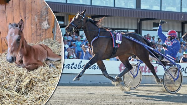 Foto: PRIVAT/TR BILD