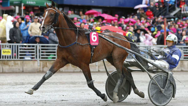 Foto: LENA EMMOTH/TR BILD