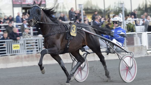 Foto: LARS JAKOBSSON/TR BILD