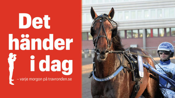 Foto: TR BILD