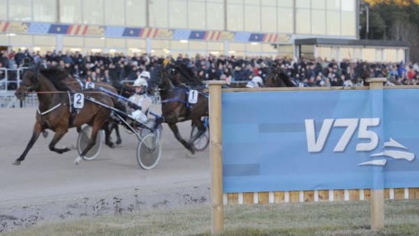 Foto: CHRISTER NORIN/ALN