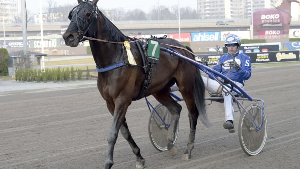 Foto: LARS JAKOBSSON / TR BILD