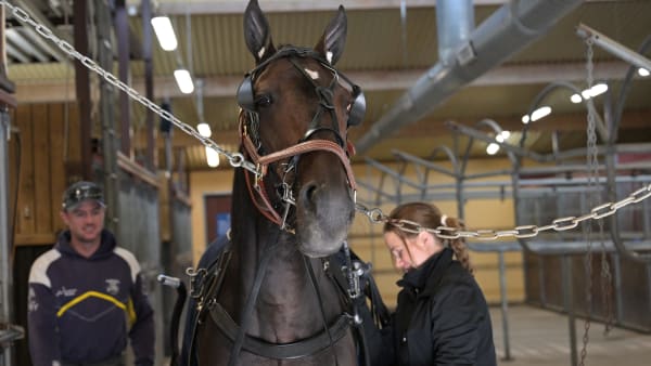 Foto: LARS JAKOBSSON / TR BILD