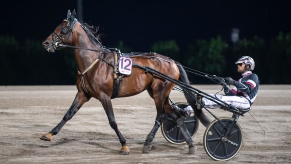 Foto: MIKAEL ROSENQUIST / TR BILD