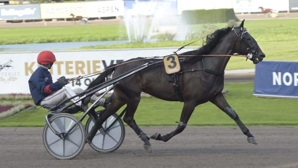 Foto: LARS JAKOBSSON / TR BILD