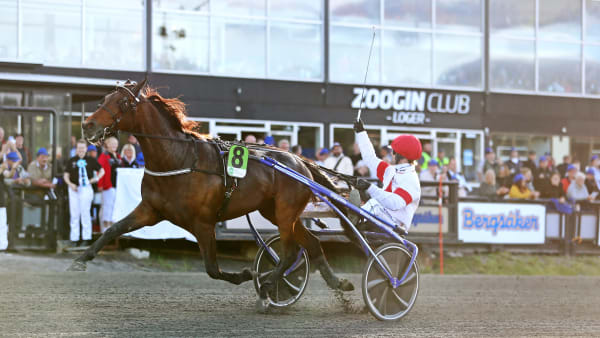 Foto: MARIA HOLMÉN / TR BILD