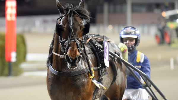 Foto: LARS JAKOBSSON / TR BILD