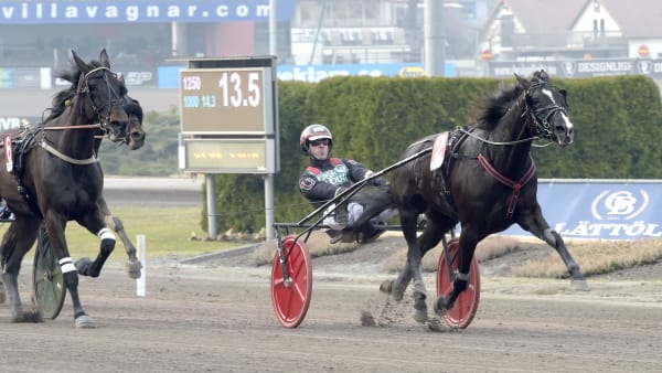 Foto: LARS JAKOBSSON / TR BILD