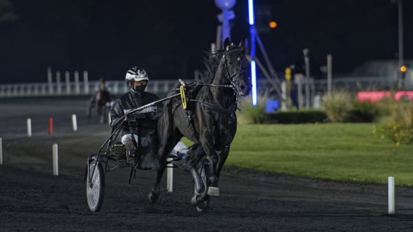Foto: Jean-Luc Lamaère/Le Trot