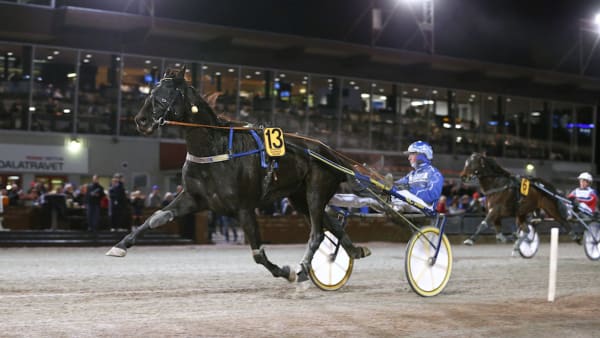 Foto: Maria Holmén/TR Bild