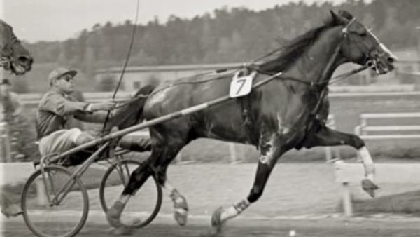 Foto: Erik Andersson/P&R