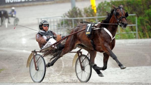 Foto: MARTIN LANGELS/ALN