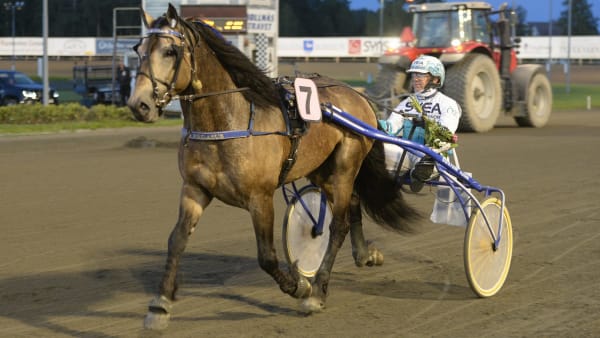 Foto: CHRISTER NORIN/ALN