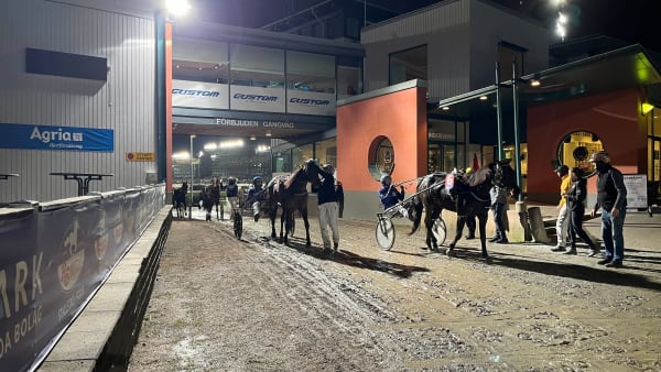 Foto: MATTIAS HOLMGREN/TR BILD