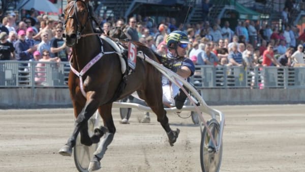 Foto: LEIF NORBERG/ALN