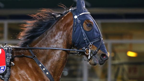 Foto: MARIA HOLMÉN / TR BILD