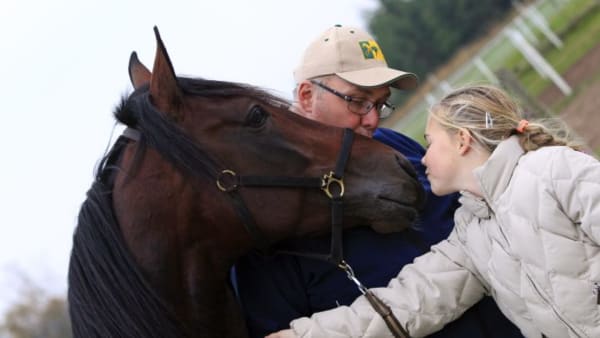 Foto: MIA TÖRNBERG/TRAVRONDEN